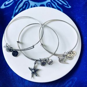 Alex and Ani Bracelet - Set of 3